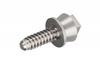 Screw insert